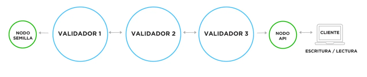 Topología inicial
